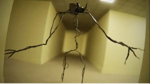 The backrooms (found footage #2)