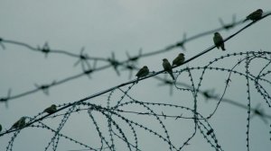 Петренко назвала сроки для осужденных за терроризм в РФ их шансом на жизнь