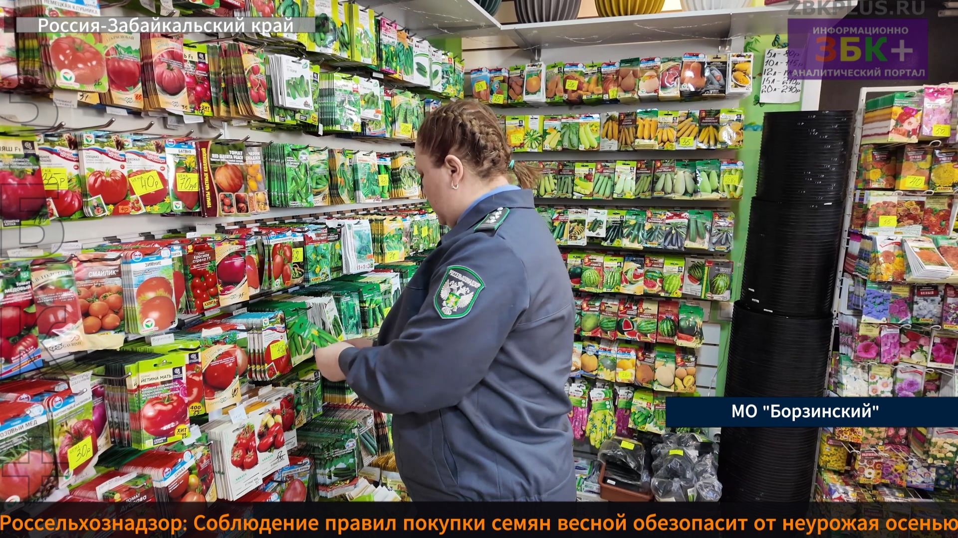 ЗБК + Соблюдение правил покупки семян весной  обезопасит от неурожая осенью