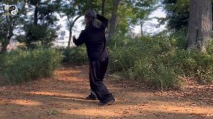 085 лабиринты кунфу