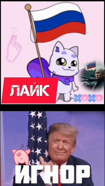 1000025445.mp4 смотреть онлайн