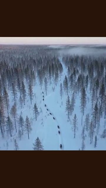 тайга дикаяприрода приключения матушкаприрода