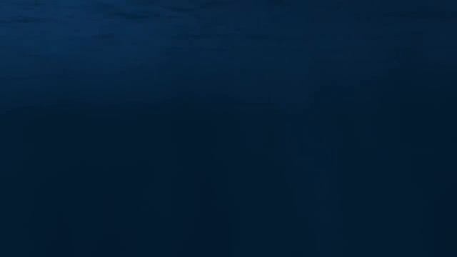 Завораживающие звуки китов под водой. Полное погружение