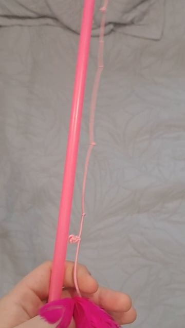 Игрушки для котов по моим советам!