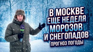 В Москве еще неделя морозов и снегопадов