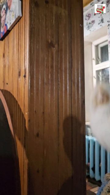 Настюня не знала чем заняться и побежала на шабашку 💪😻👍