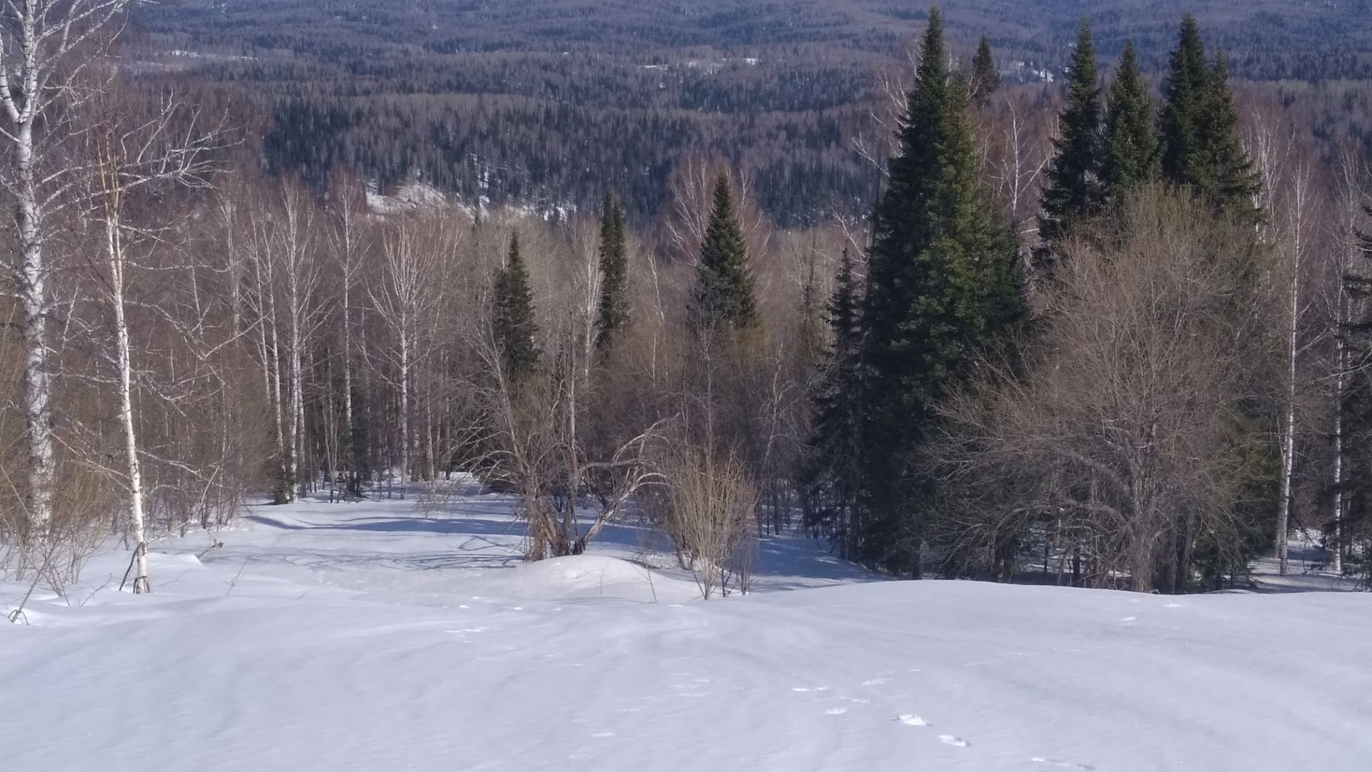 Охота капканами, жизнь и быт в тайге. смотреть онлайн