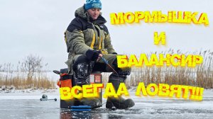 МОРМЫШКА и БАЛАНСИР всегда поймают рыбу 💪 Трудовая рыбалка со льда 👍