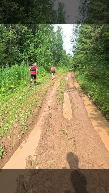 Беги за сердцем 2025