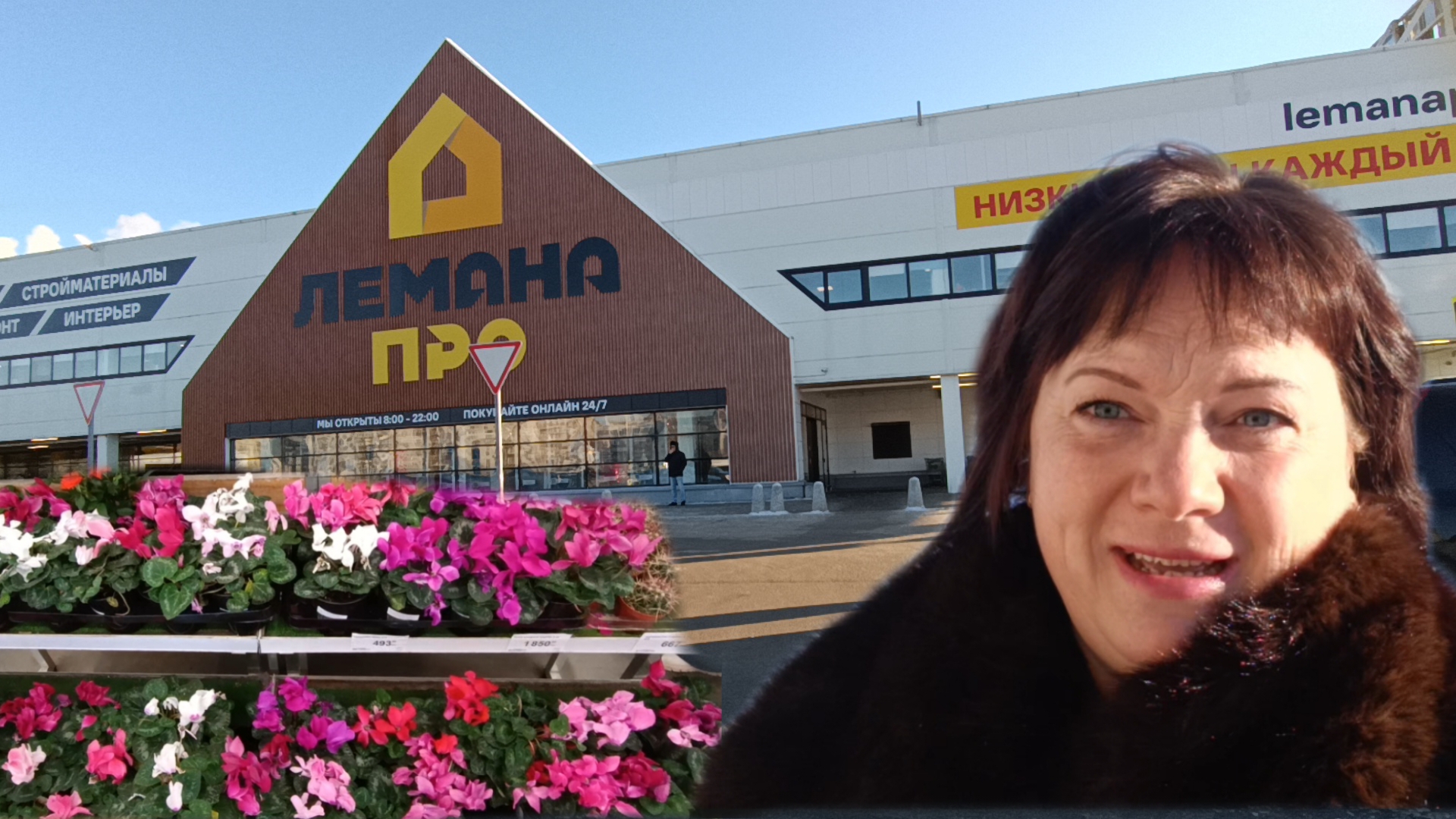 Обзор магазинов.Саженцы роз. смотреть онлайн