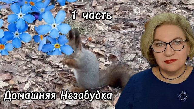 1 часть. Завидуй молча, куча-вАнюча❗️ смотреть онлайн