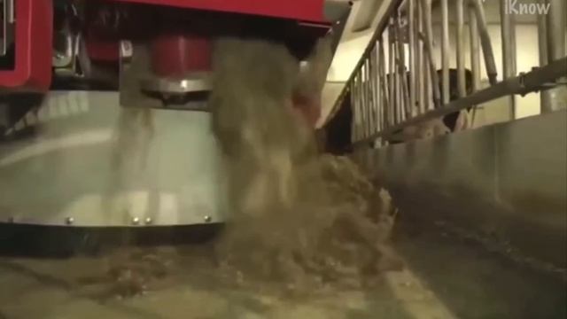 Инт садик 170 Лепестки технолог Инт садик 170 Лепестки технолог