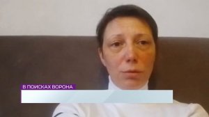 Новости Калининграда — итоги недели, 1 февраля 2026 каскад тв