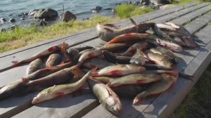 Карта отдыха "Рыбалка на Канозеро"