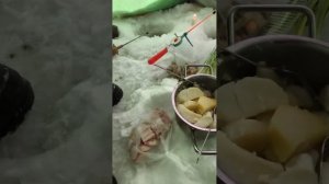 Зимняя рыбалка....