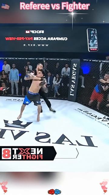 Рефери против бойца UFC смотреть онлайн