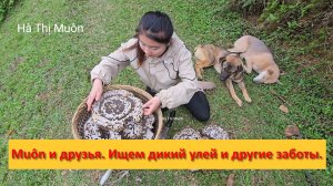 Muôn и друзья из Вьетнама. Ищем дикий улей и другие заботы.