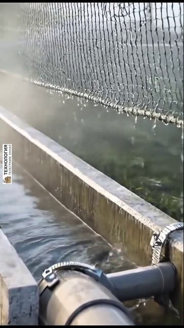 1649. Сбор воды из тумана пассивная технология для засушливых зон смотреть онлайн