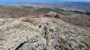 Там всегда хорошо Крым Я насобирал грибов Крымский