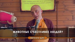Животные счастливее людей? Е.М. Ватсала прабху