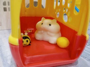 чек на хоми