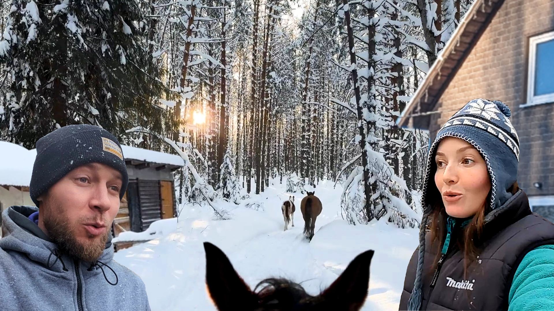 НИКТО НЕ ОЖИДАЛ УВИДЕТЬ ТАКУЮ КРАСОТУ В НАШЕЙ ДЕРЕВНЕ. Снег ломает крышу. Обшили окна. Купили шкаф смотреть онлайн