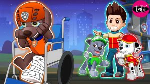 Щенячий патруль и Маршалл. Залипательное видео. Мультфильм для детей и малышей. Анимация 164