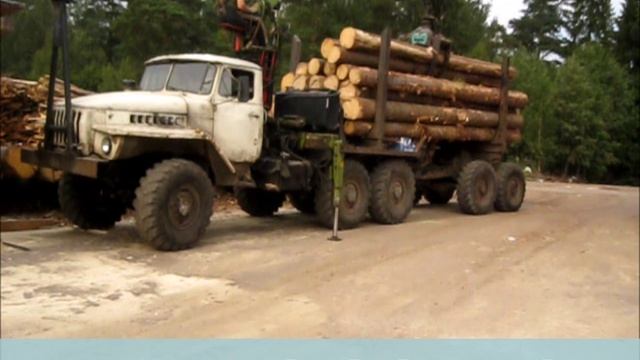 Продажа пиломатериалов в СПб