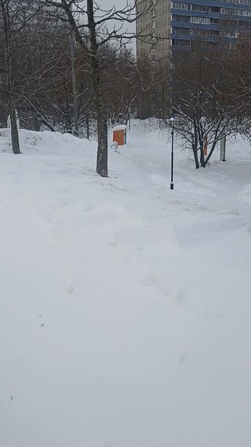 ОПЯТЬ МЕТЕЛЬ И СНЕГОПАД ОПЯТЬ МЕТЕЛЬ И СНЕГОПАД