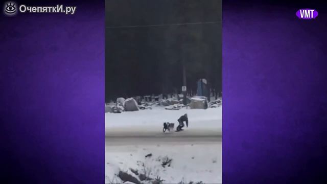 Смотри если заскучал смотреть онлайн