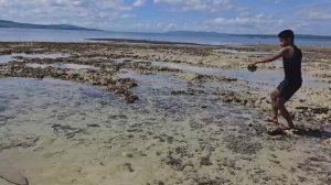 РЫБА В ЛОВУШКЕ ВО ВРЕМЯ ОТЛИВА