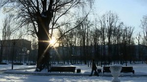 В московском регионе ожидаются отсутствие снегопадов и низкие температуры.