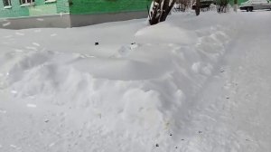 Планы по похудению сходил на рынок за лёгким, а еще рассказал что будет завтра на обед и на ужин