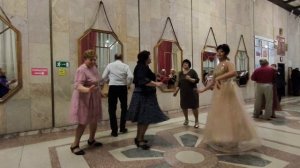 Белые ромашки..... 01.02.26.