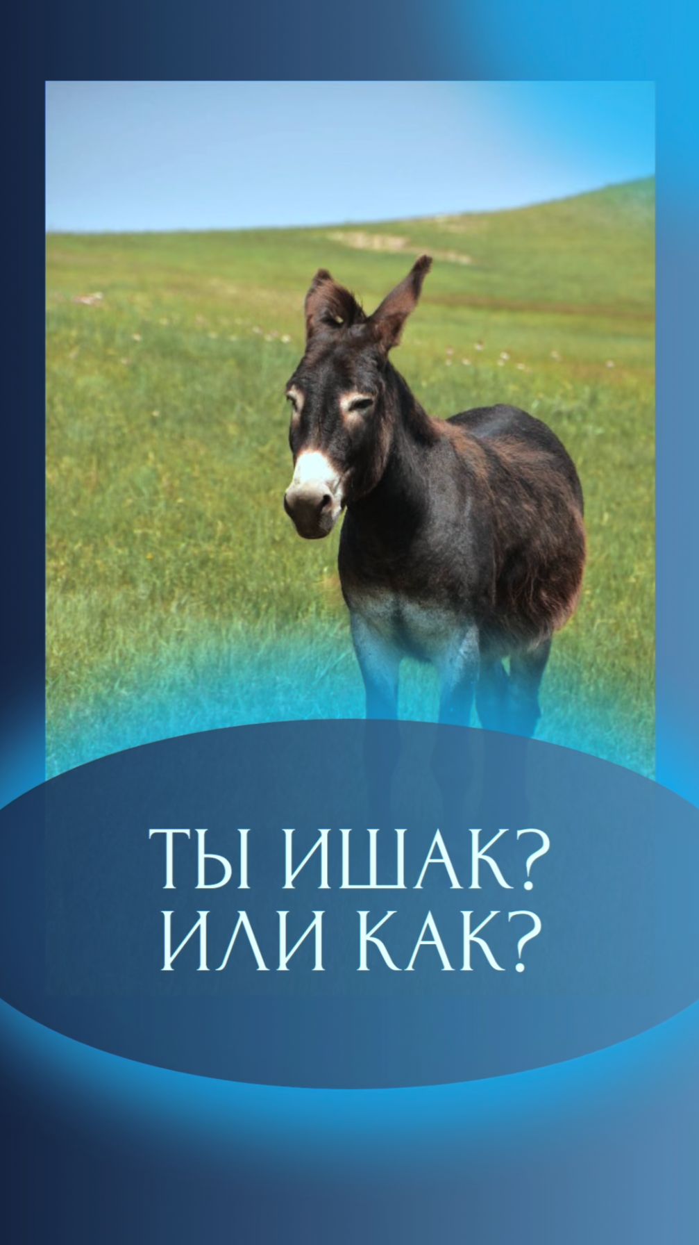 Куда ведет ваша команда? #команда #коучингразвитие #винерабадретдинова #достижениецели #бизнескоуч Куда ведет ваша команда? #команда #коучингразвитие #винерабадретдинова #достижениецели #бизнескоуч