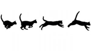 Кому надо, берите, ведь такого футажа нет