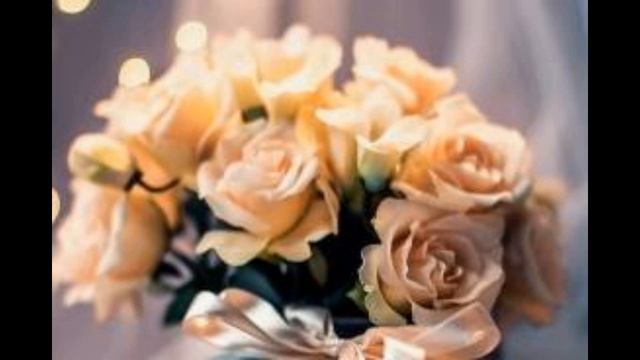 Роза. Художественный рассказ. Роза. Художественный рассказ.