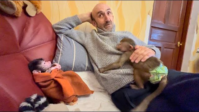 Люська ОБИДЕЛАСЬ и даже отвернулась от Влада, она пошла за утешением к Жорик! смотреть онлайн