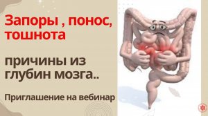 Запоры , понос, тошнота. Причины из глубин мозга.. Приглашение на вебинар