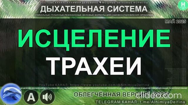 Глубокое Восстановление Трахеи Чистые Дыхательные Пути и Здоровое Горло смотреть онлайн