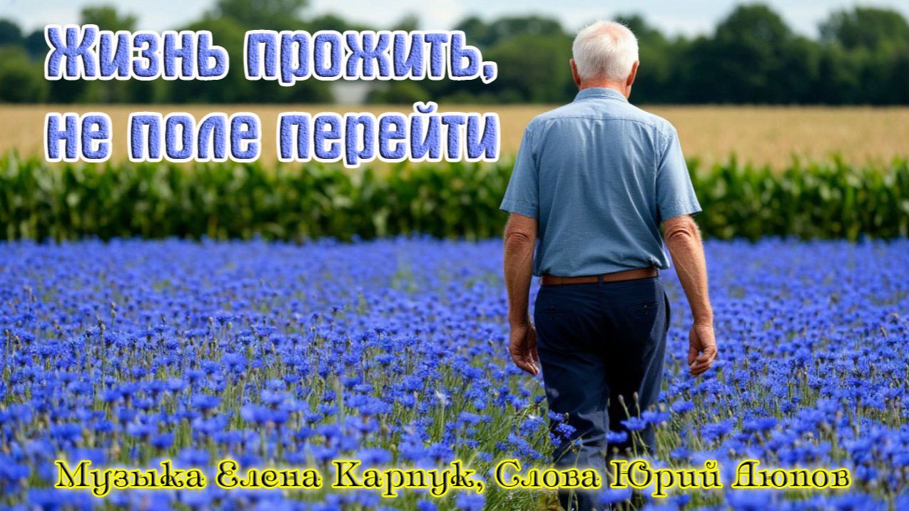 Новинка! Душевный Шансон! ЖИЗНЬ ПРОЖИТЬ - НЕ ПОЛЕ ПЕРЕЙТИ смотреть онлайн