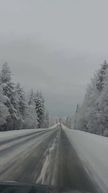 2026.01.10 Зимняя дорога под классику. Карелия. 2026.01.10 Зимняя дорога под классику. Карелия.