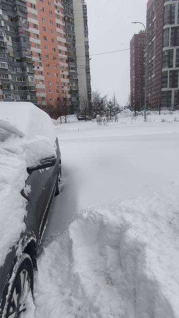 Химки не убирают снег 2026