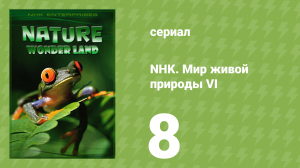 NHK. Мир живой природы VI 8 серия (документальный сериал, 2012)