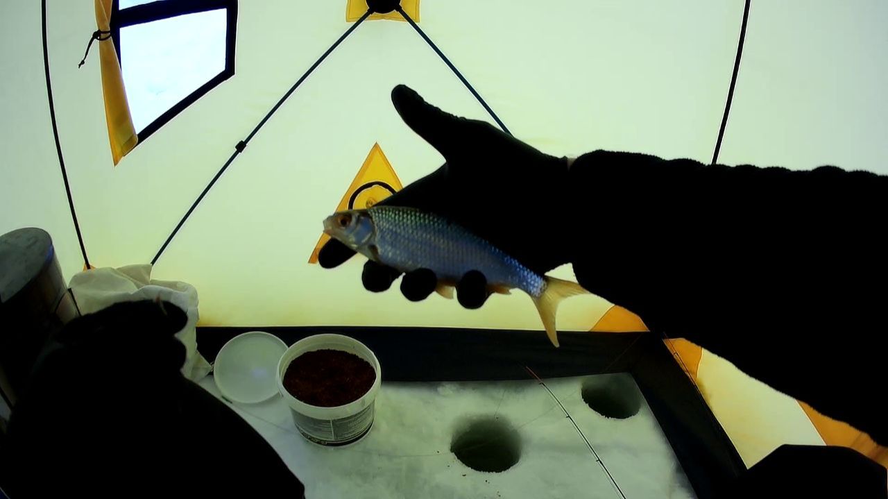 В ПОИСКАХ ЛЕЩА ЗИМОЙ смотреть онлайн