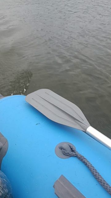 1000083562.mp4 1000083562.mp4