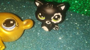 LPS: Распаковка Персонажей (Оригинальный пет?!)