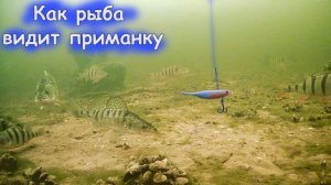 Как играют раттлины и силикон на Судака и Щуку. ЧТО В МОЕЙ КОРОБКЕ Рыбалка зимой в 2026