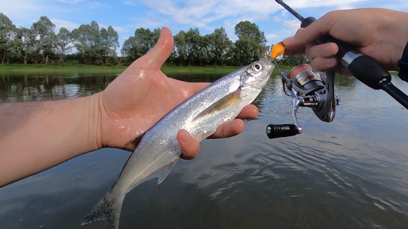 Рыбалка на реке Белая. Солнечный Башкортостан. Рыбалка на реке Белая. Солнечный Башкортостан.