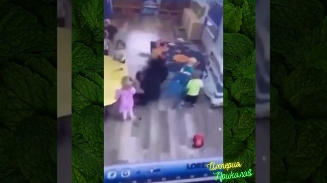 Сборник №81. Забавные и прикольные моменты из самой обычной жизни! Сборник №81. Забавные и прикольные моменты из самой обычной жизни!